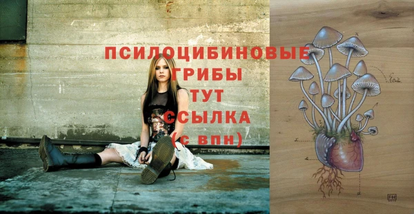 молекула духа Верхний Тагил