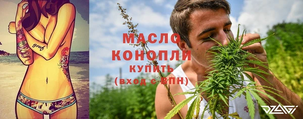 молекула духа Верхний Тагил